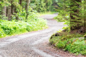 21571577-winding-country-gravel-road-in-forest-stock-photo.jpg